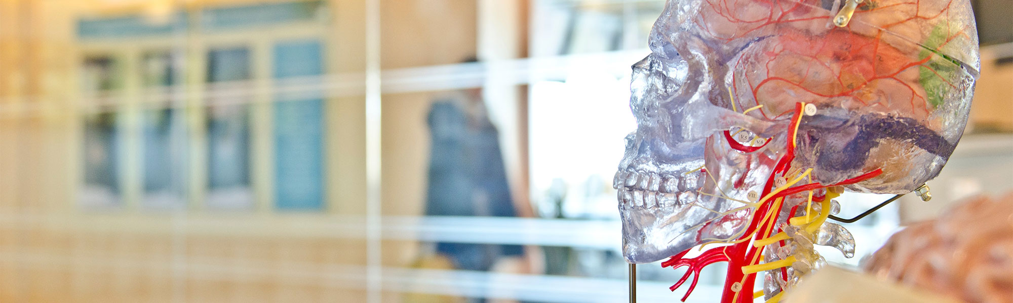 Weiterbildung Neurologie